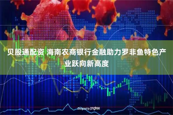贝股通配资 海南农商银行金融助力罗非鱼特色产业跃向新高度