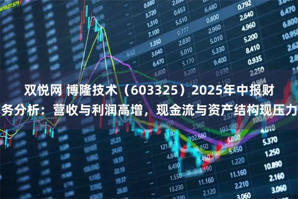 双悦网 博隆技术（603325）2025年中报财务分析：营收与利润高增，现金流与资产结构现压力