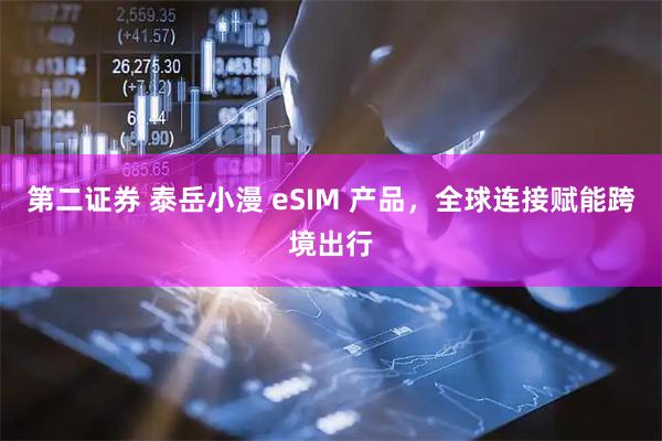 第二证券 泰岳小漫 eSIM 产品，全球连接赋能跨境出行