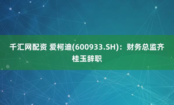 千汇网配资 爱柯迪(600933.SH)：财务总监齐桂玉辞职