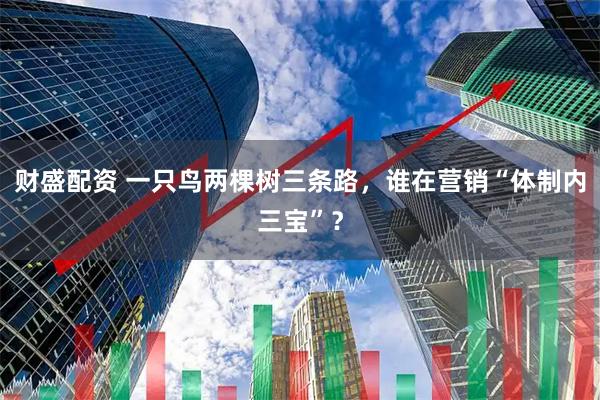 财盛配资 一只鸟两棵树三条路，谁在营销“体制内三宝”？