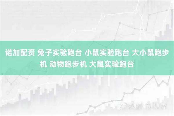 诺加配资 兔子实验跑台 小鼠实验跑台 大小鼠跑步机 动物跑步机 大鼠实验跑台