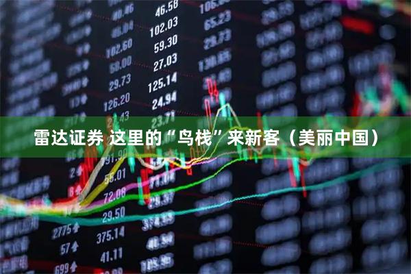雷达证券 这里的“鸟栈”来新客（美丽中国）